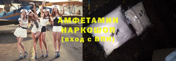 твердый Краснослободск