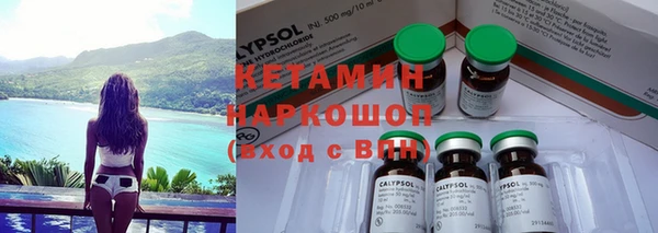 твердый Краснослободск