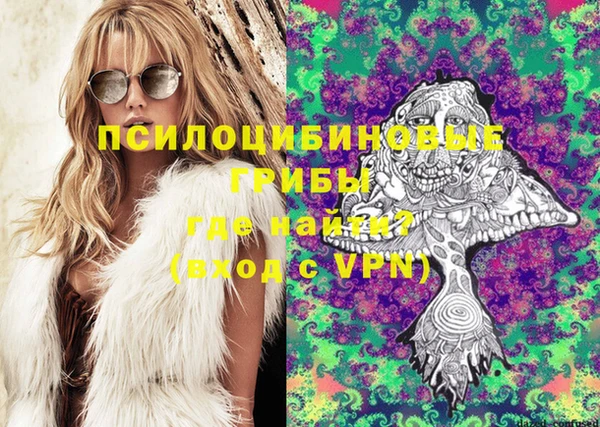 стафф Краснотурьинск