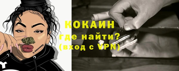 твердый Краснослободск