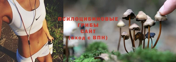 мескалин Красноперекопск