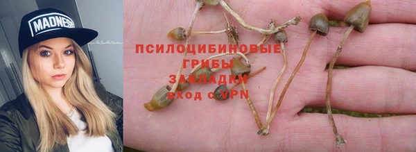 стафф Краснотурьинск