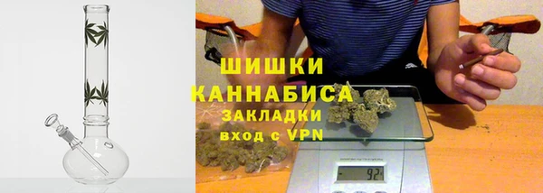 твердый Краснослободск