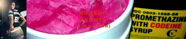твердый Краснослободск
