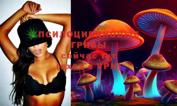 твердый Краснослободск