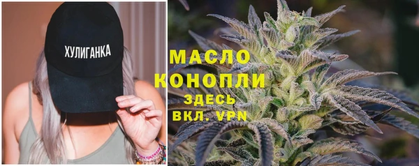 твердый Краснослободск
