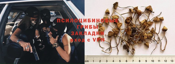 твердый Краснослободск