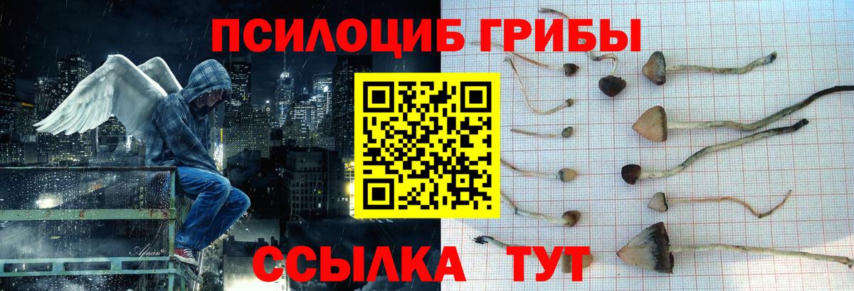 Новороссийск  Псилоцибиновые грибы MAGIC MUSHROOMS  Вход с VPN 