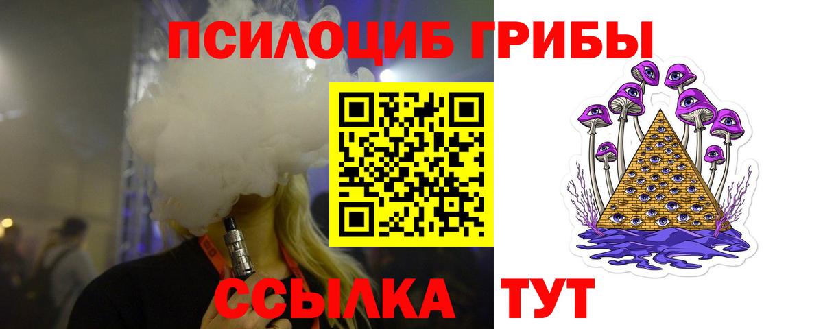 Псилоцибиновые грибы Psilocybine cubensis Новороссийск