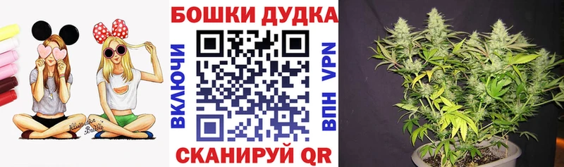 Канабис ГИДРОПОН  цены наркотик  KRAKEN зеркало  Новороссийск 