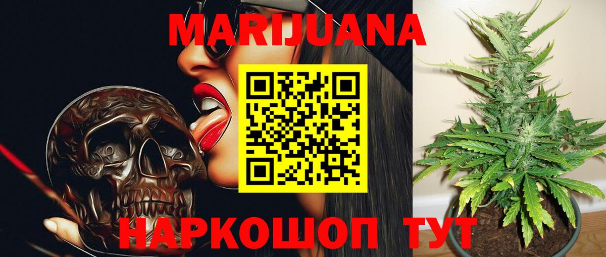 Бошки Шишки план Новороссийск