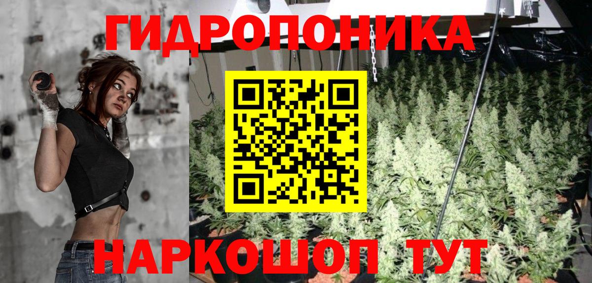 Бошки Шишки сатива  Марихуана семена  Марихуана планчик  Новороссийск  Вход с VPN  Шишки марихуана SATIVA & INDICA 